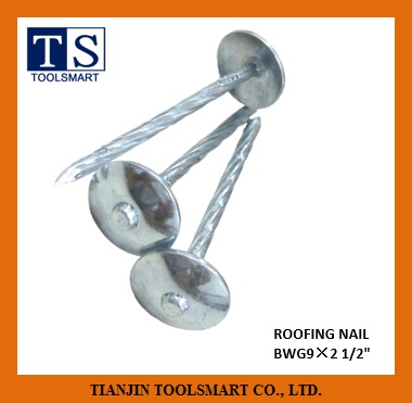 ROOFING NAIL