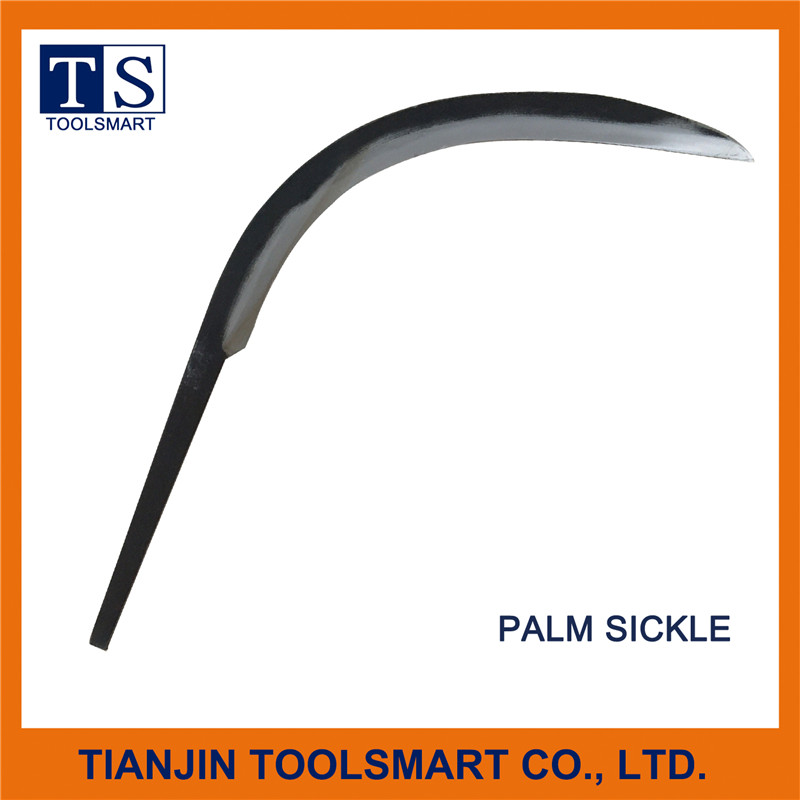 PALM SICKLE